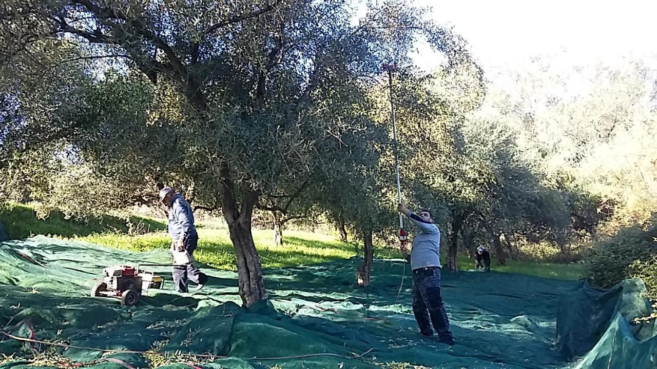 Eleas Gi Villa Vitaládes Esterno foto