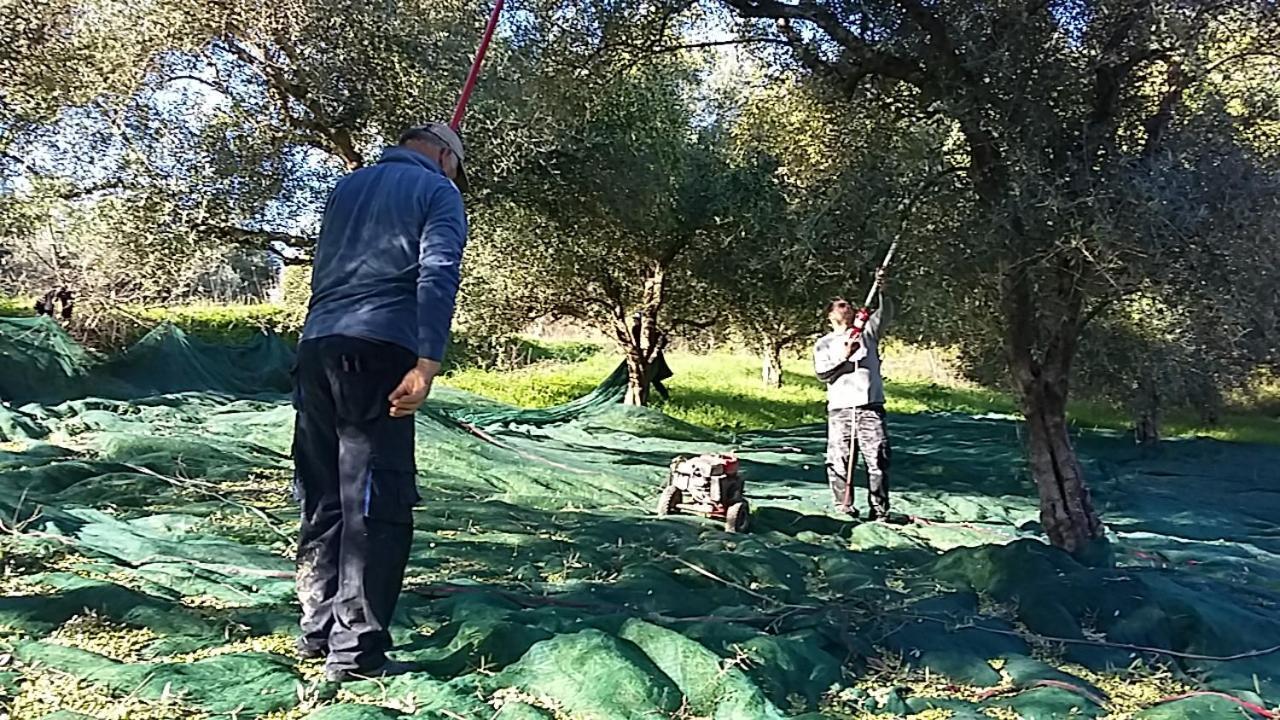 Eleas Gi Villa Vitaládes Esterno foto